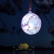 First Lady Taft Fairy Blossom Ornament